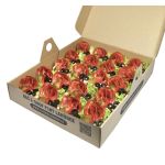 Box mini s chorizo 700g